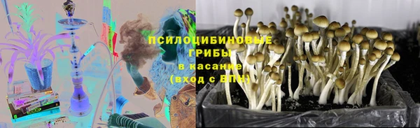шишки Вязники
