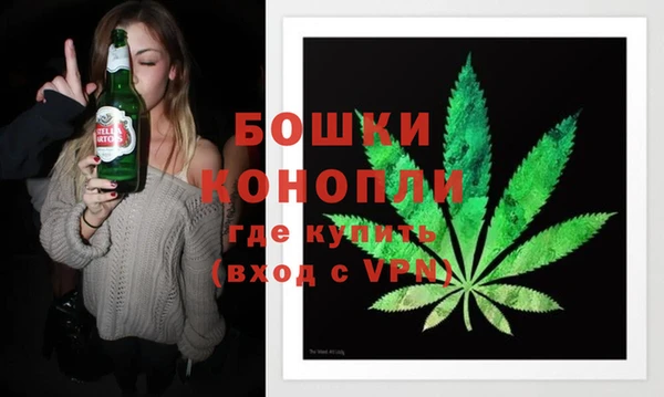шишки Вязники
