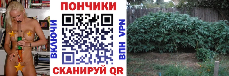 сайты даркнета наркотические препараты  Назарово  Бошки марихуана Ganja 